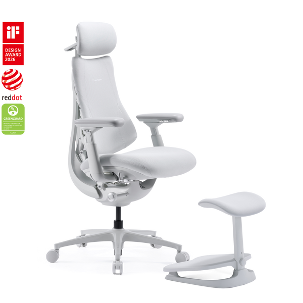 Chaise ergonomique dynamique LiberNovo Omni Pro
