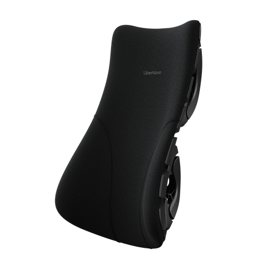 SE-Ensemble dossier