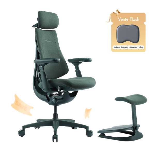 Chaise ergonomique dynamique LiberNovo Omni