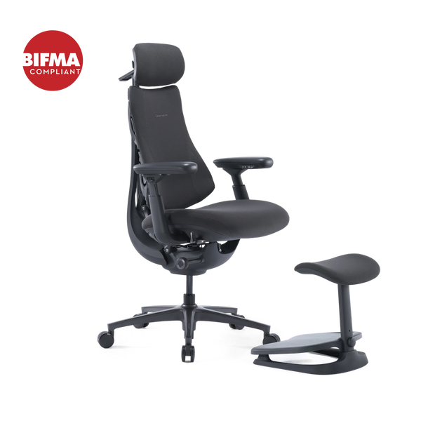 Chaise ergonomique dynamique LiberNovo Omni Pro